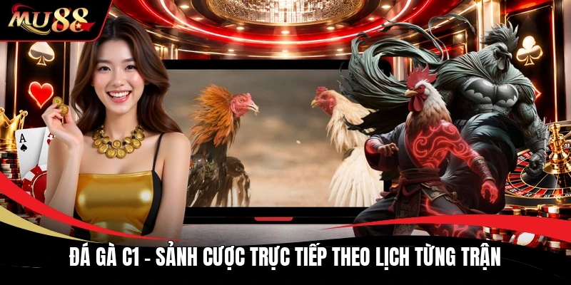 Đá Gà C1 - Sảnh Cược Trực Tiếp Theo Lịch Từng Trận