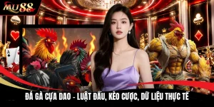 Đá Gà Cựa Dao - Luật Đấu, Kèo Cược, Dữ Liệu Thực Tế